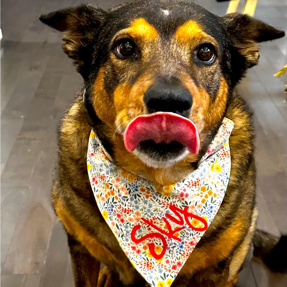 Personalized Over the Collar Dog Bandana floral